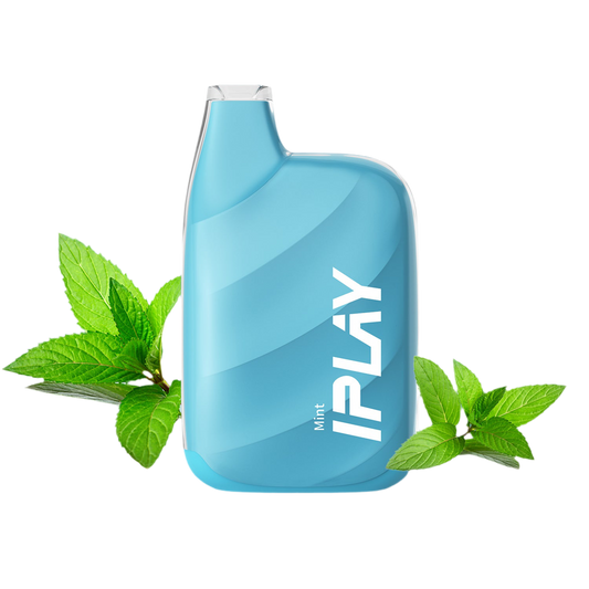 IPLAY BOX primera versión
